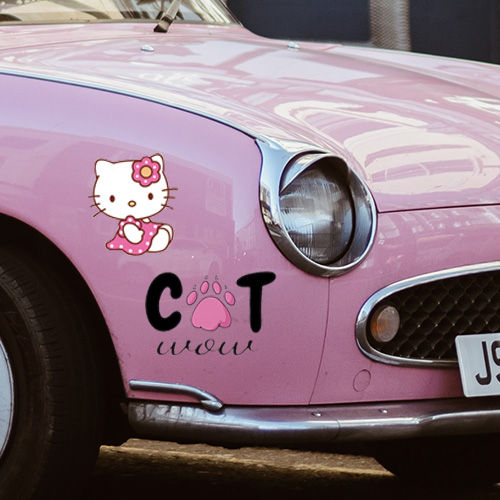 5. Cat Bumper Stickers