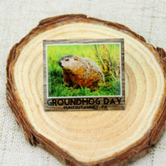 6. Custom Groundhog Lapel Pins