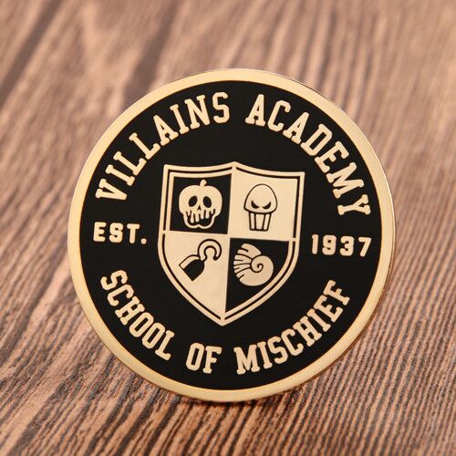 21. School Lapel Pin 