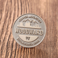 31. Woodward Pin 