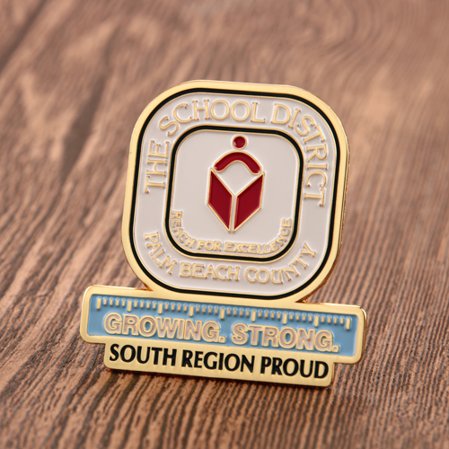 21. School District Pin