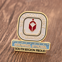 21. School District Pin