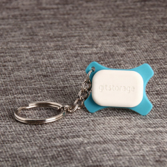 9. GITSTORAGE PVC Keychain