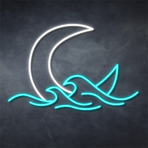 3. Moon and Waves Neon Sign