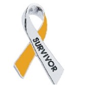 3. Survivor Awareness Ribbon Pin